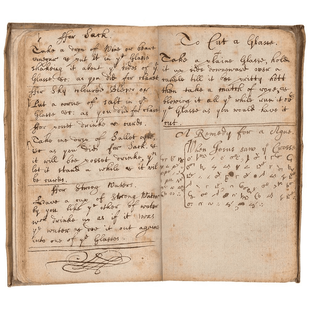 Newton's Memorandum Book